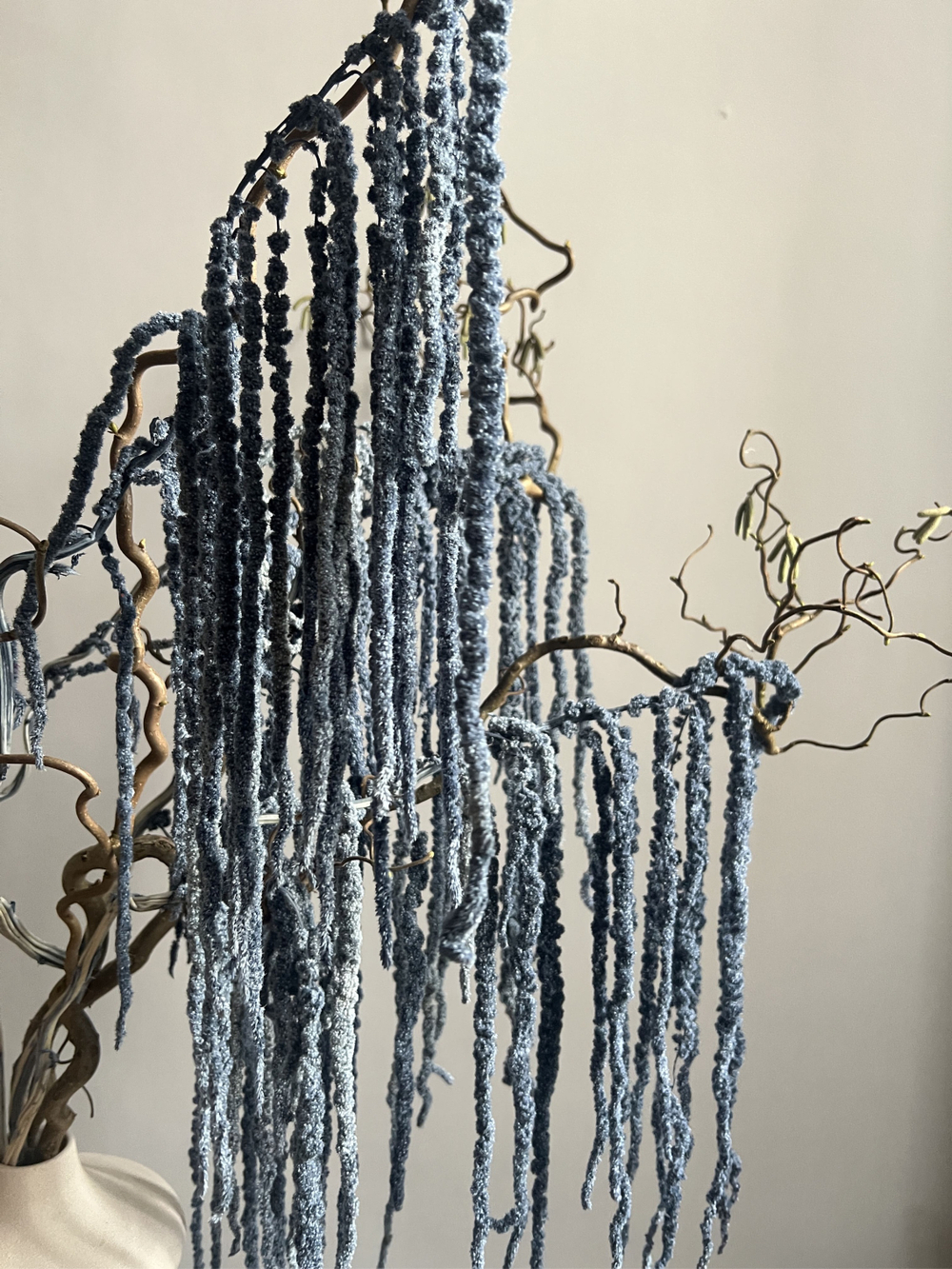 Амарант стабилизированный серый