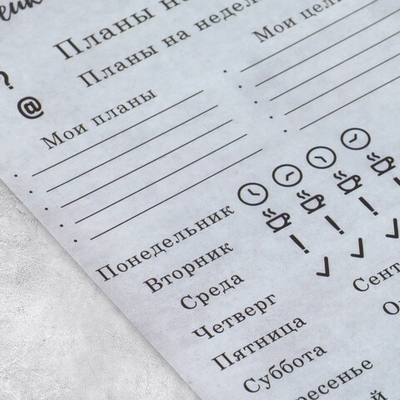 Наклейки для ежедневника «Планы», калька, 13 х 18 см