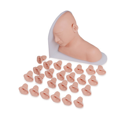 Тренажер обследования уха