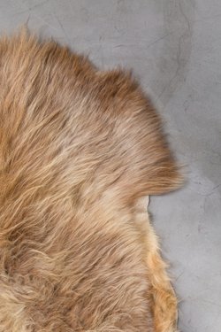 шкура декоративная