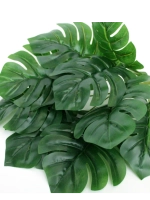 Куст монстера, 9 листьев. 3 шт.