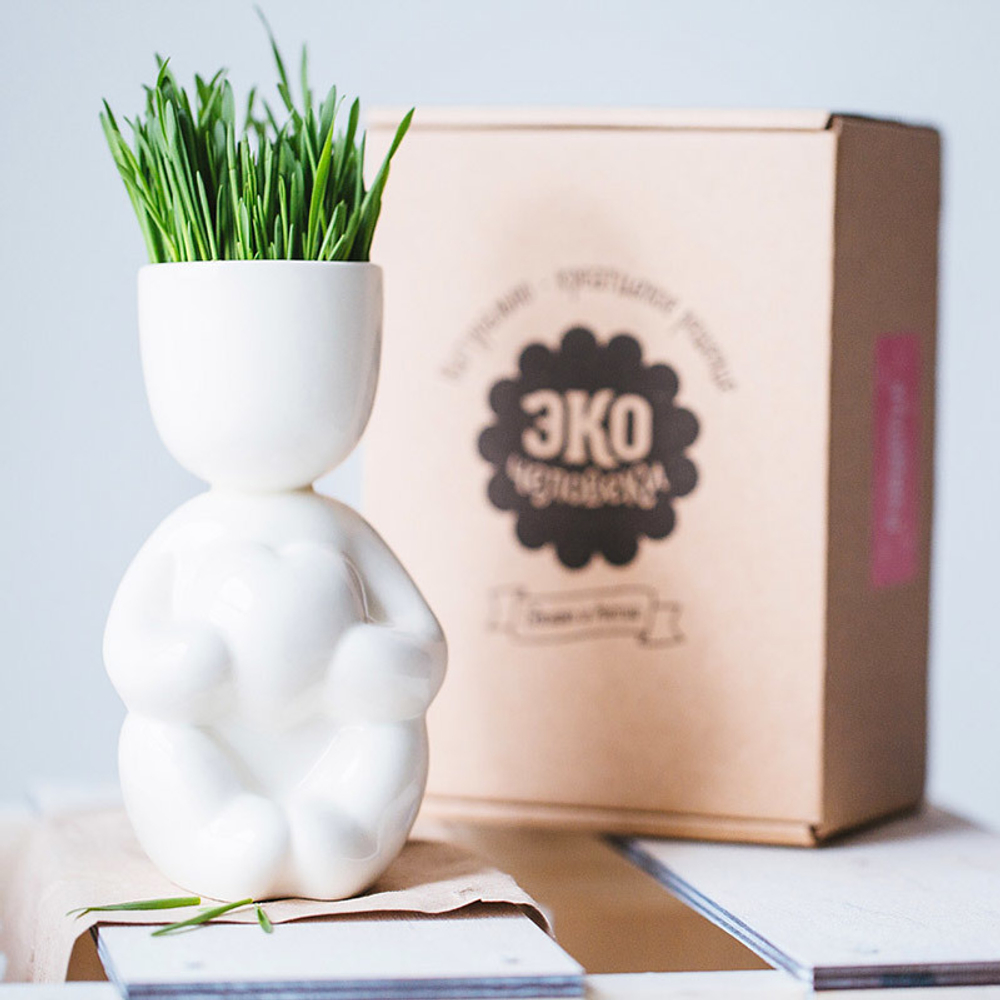 Набор для выращивания eco Романтик