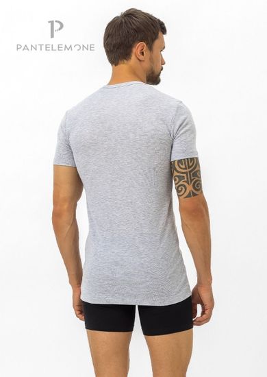 Футболка мужская с коротким рукавом Pantelemone MF-003, серая