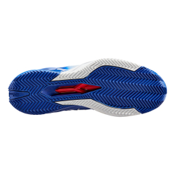 Мужские теннисные кроссовки Wilson Rush Pro 4.0 Hope Paris Clay Court Shoe Men - Blue, White