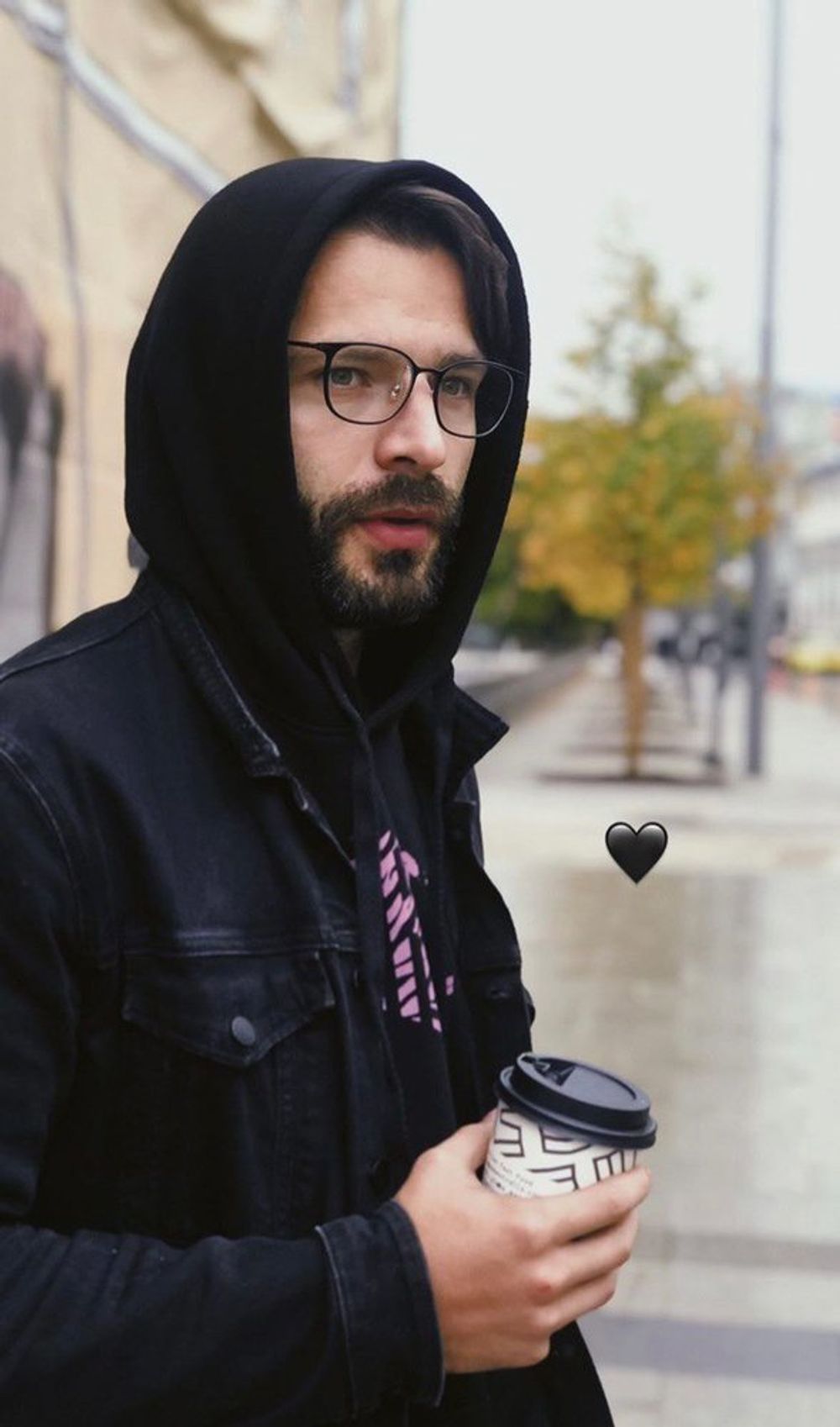 Худи Tiger Logo Черный