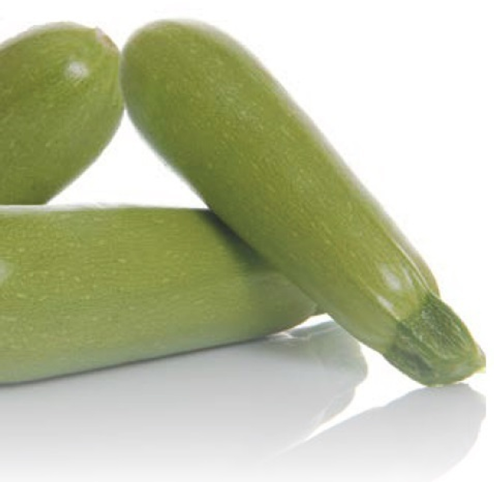 Азов F1 семена кабачка (Sakata / Саката)