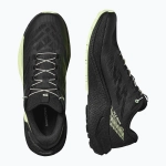 Кроссовки для бега Salomon Pulsar black/black/patina green