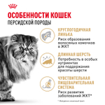 Royal Canin Persian Adult Персиан Эдалт Корм сухой для взрослых кошек породы персидская от 12 месяцев 4кг