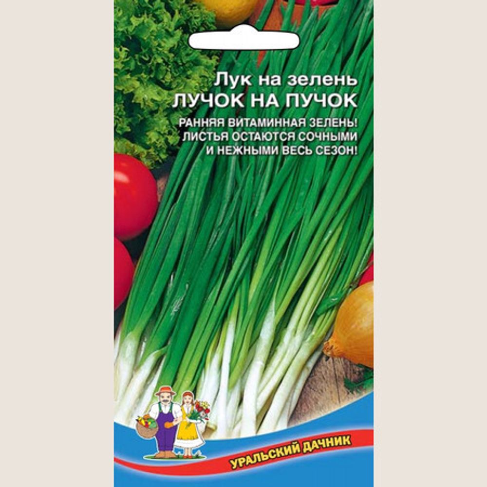 Семена Лучок на пучок ультраранний (лук на зелень) 0,5г &quot;Аэлита&quot;