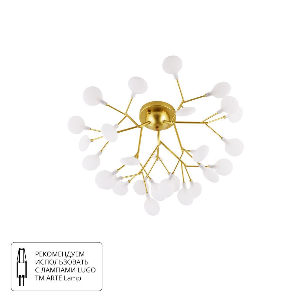 Потолочная люстра Arte Lamp