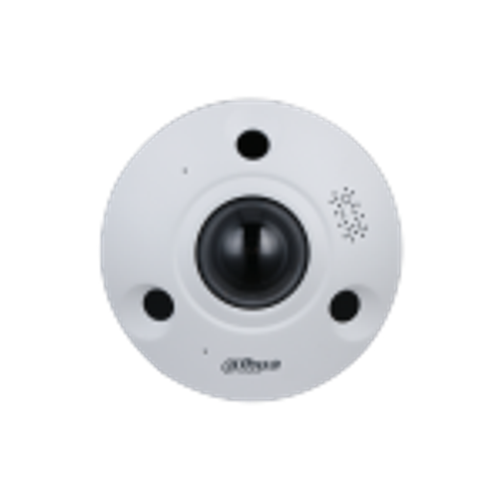 DH-IPC-EBW81242P-AS-S2