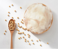 ZEPHYR HOME Одеяло, Тенсель, Соевое волокно 200х230 Двуспалка