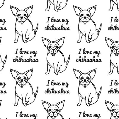 I love my chihuahua. Я люблю мою собаку чихуахуа