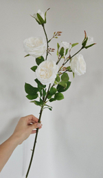 Роза пионовидная / Арт 2361