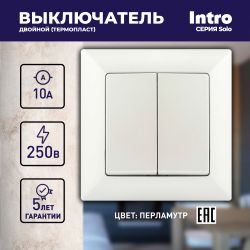 Выключатель Intro Solo 4-104-06 двухклавишный 10А-250В, IP20, СУ, перламутр