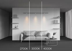 Трековый магнитный светодиодный светильник Maytoni Levity   TR188-1-5W2.7K-M-BW