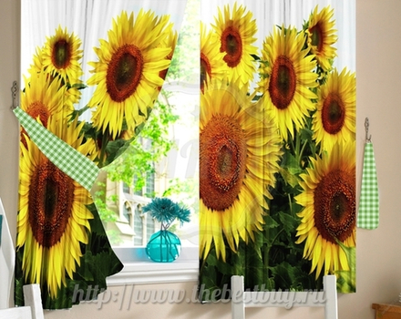 Фото-шторы для кухни: Солнышко (арт. L20-2113)  -  (145х160)х2 см.