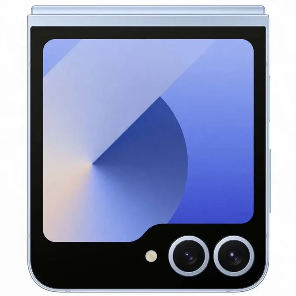 Samsung Galaxy Z Flip6 12/512Gb (Blue)