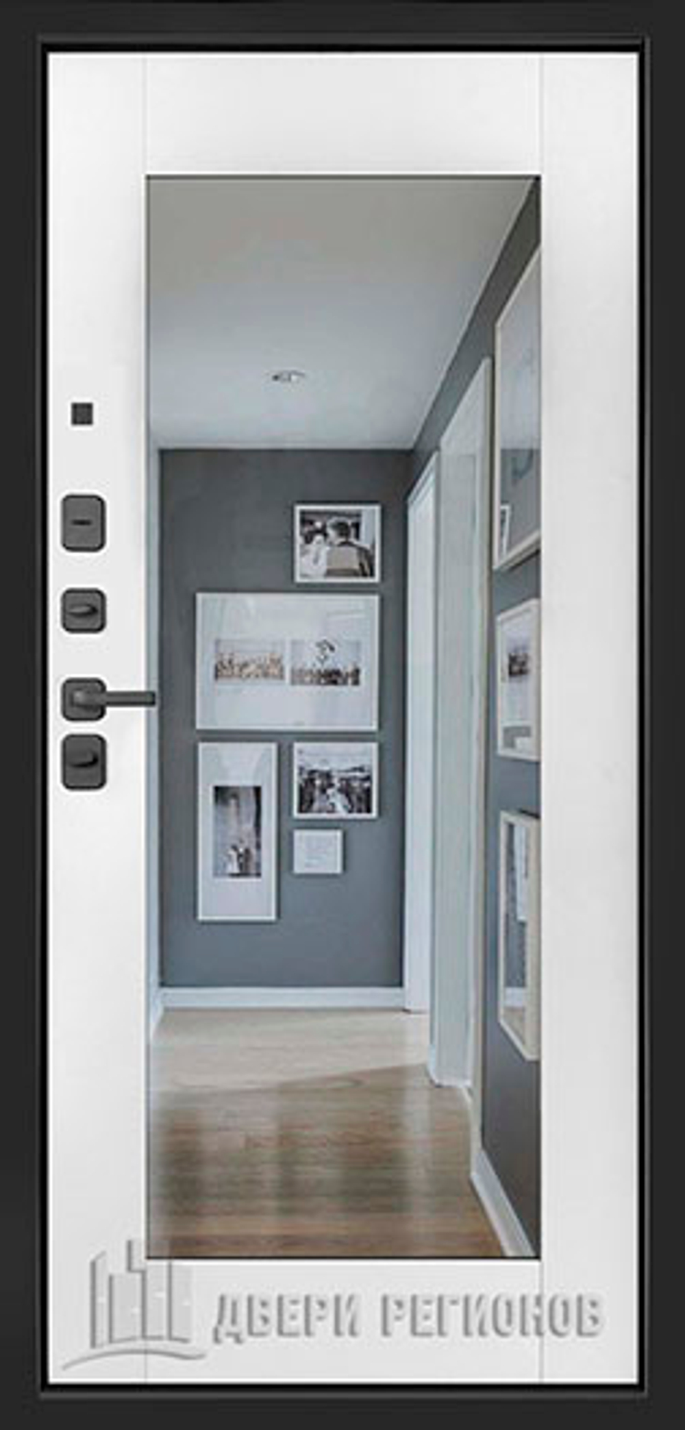 Дверь входная SL-1, цвет Графит