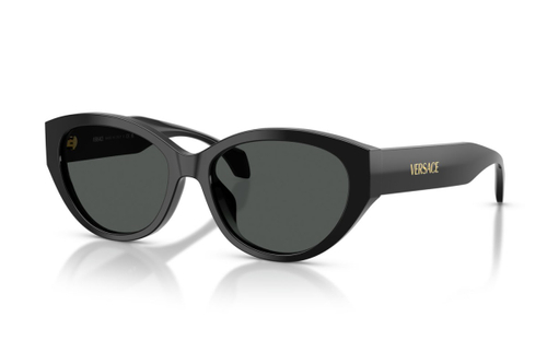 Versace 4495