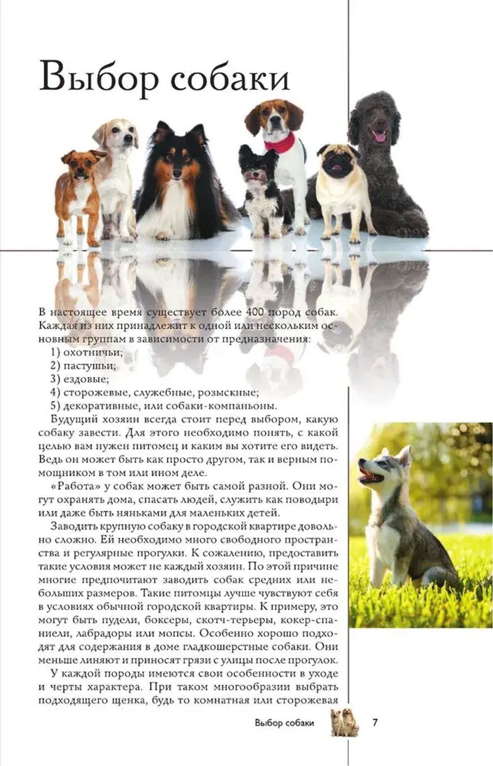 Собаки. Популярный иллюстрированный гид