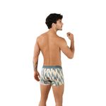 Мужские трусы боксеры с разноцветным принтом Clever SPROUT BOXER 095812