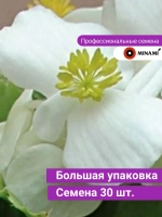 Бегония Вариация белая F1 зеленый лист