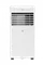 Мобильный кондиционер Royal Clima RM-EG17CH-E Egoista