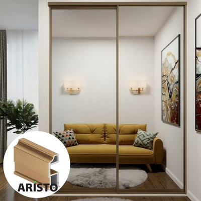 Дверь-купе ARISTO SLIM LINE, зеркало, профиль золото крацованное