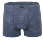Мужские трусы-боксеры из принтованного хлопкового полотна (Размер: L) (Цвет: синий)