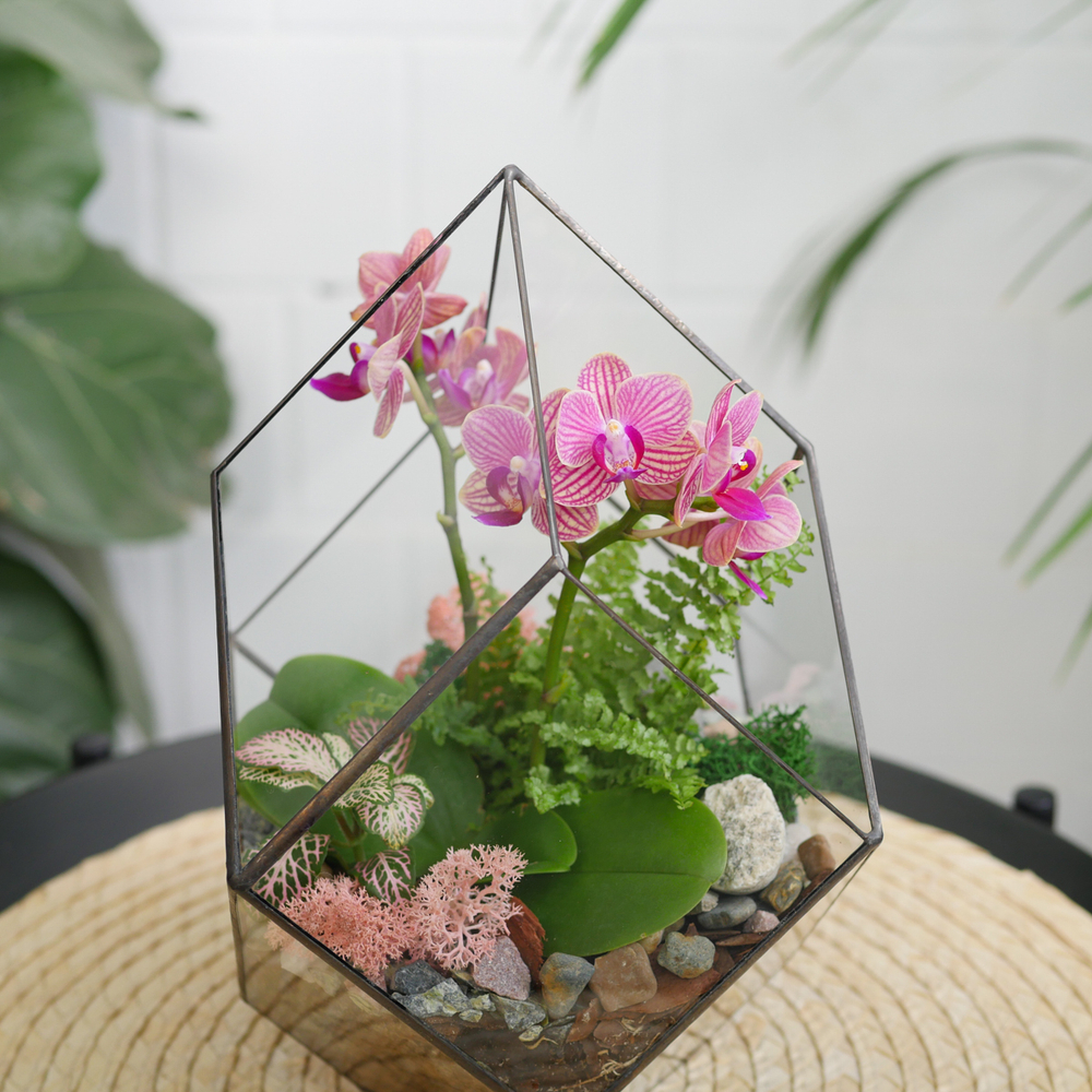 Готовый флорариум с орхидеей Грация