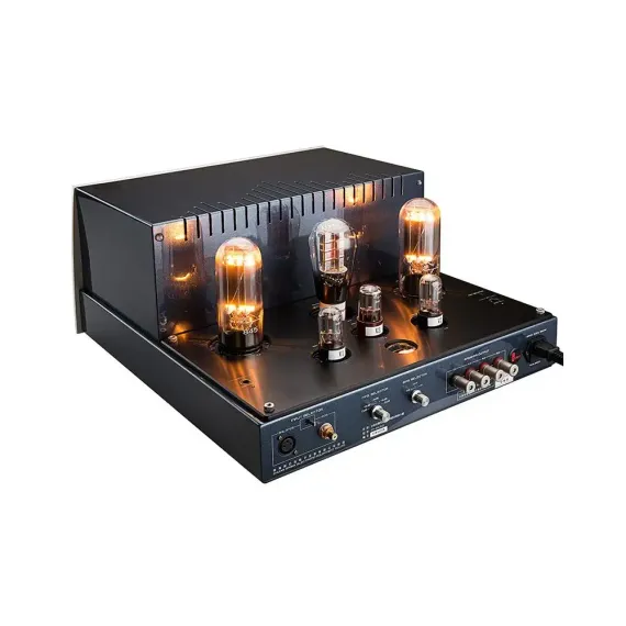 Cayin M-845D