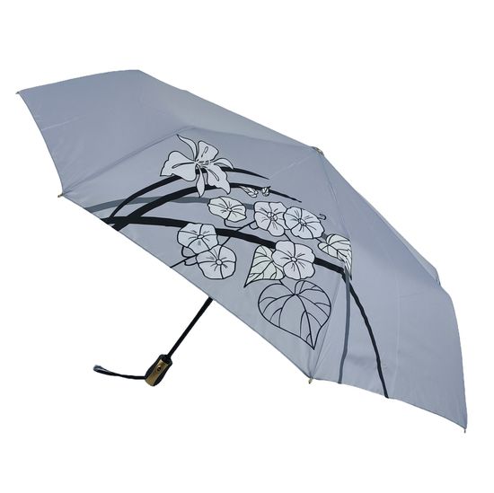 Женский зонт Три Слона Полный автомат 220-R-09