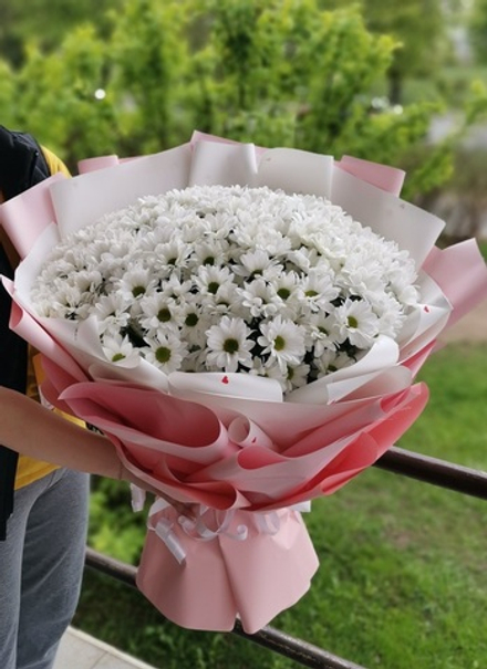 Хризантемы 25