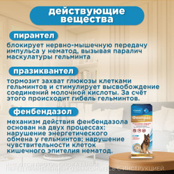 Суспензия от гельминтов и лямблий для собак крупных пород Фенпраз ,20мл. Пирантел/Празиквантел/Фенбендазол,