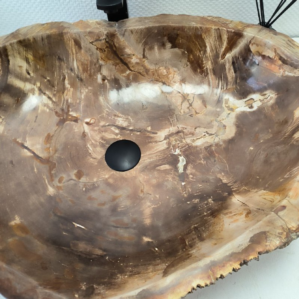 Раковина из окаменелого дерева OD-62379 69*52*15