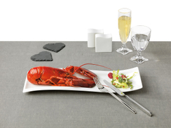 Villeroy & Boch Сольница NewWave 10-2525-3480