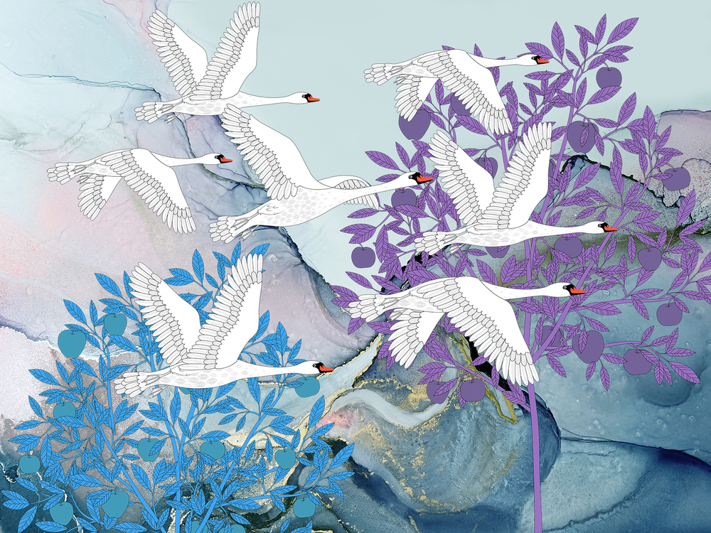 Коллекция GUSILEBEDY