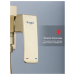 Гигиенический душ со смесителем встраиваемый Raglo R02.54.03, сатин золотой