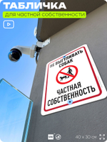 Табличка для частной территории "Не выгуливать собак", на дом, для участка, организаций и частных территорий, предупреждающая, 40х30 см, Silver Plane x Айдентика Технолоджи