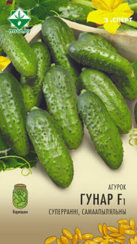 Огурец "Гуннар F1" 10шт, Нидерланды.