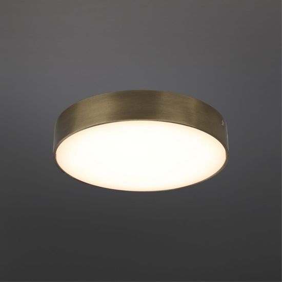 Светильник настенно-потолочный APL.0113.29.24