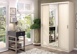 Альянс Шкаф-купе 1.5м