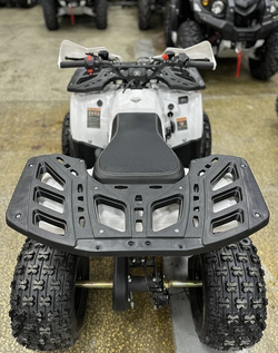 КВАДРОЦИКЛ PROMAX WILD 2.0 190