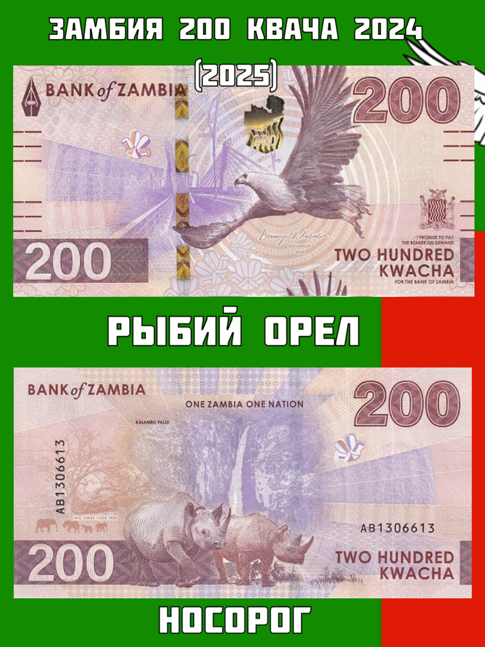 Замбия 200 квача 2024 (2025) Носорог UNC
