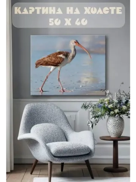 Картина на стену 40 X 50 Птица