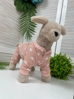 Трикотажный комбинезон для собак и кошек