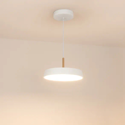 Светильник SP-ELEGANT-R300-17W Warm3000 (WH, 120 deg, 230V) (Arlight, IP20 Металл, 3 года) 033914(1)