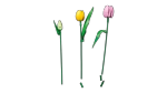 Конструктор LEGO Botanical Collection 11501 Tulip Bouquet