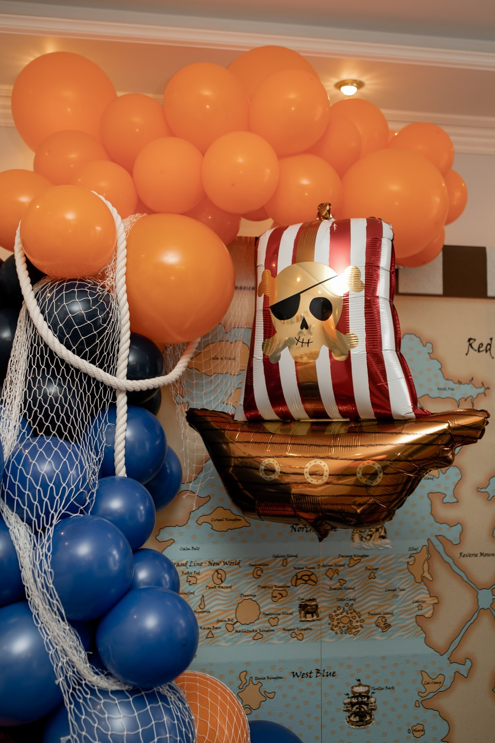 One Piece Party